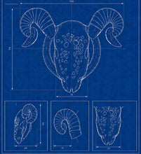 Load image into Gallery viewer, Flat Goat Resin Chastity Cage With Detachable Horns
