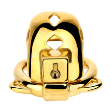 Load image into Gallery viewer, Golden Stainless Steel Mamba Cage with Belt 2026 Edition side view
