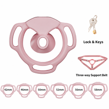 Load image into Gallery viewer, Pink Halo Ring set illustration with 42, 46, 50, 52, 56 and 58 mm base rings, lock with keys and three-way support belt
