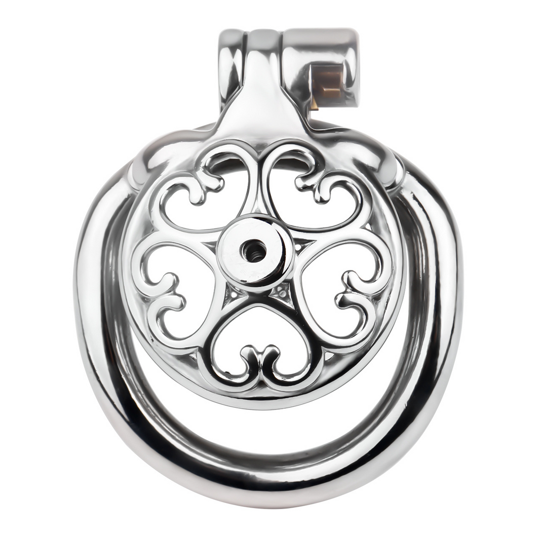 Small Steel Chastity Cage