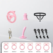 Load image into Gallery viewer, Flat ABS Chastity Cage With Inverted Plug
