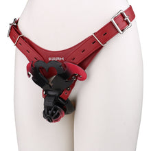 Load image into Gallery viewer, Demon's Dream Chastity Cage

