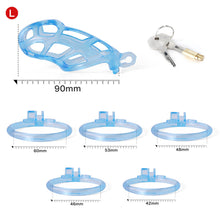 Load image into Gallery viewer, Ice Vision Desigh Blue Mamba Chastity Cage size comparison
