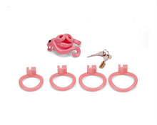 Load image into Gallery viewer, Compact Octopus Resin Chastity Cage
