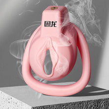 Load image into Gallery viewer, JEUSN Pink Flat Chastity Cage
