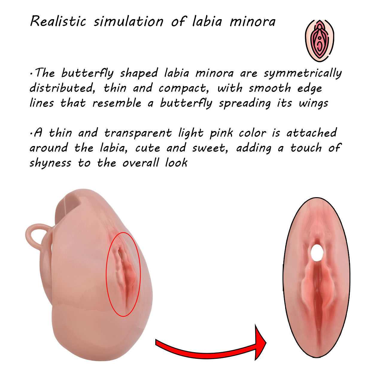 Pussy Chastity Cage With Wearable Butt Plug – CHASTITY CAGE CO