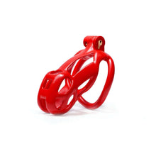 Load image into Gallery viewer, Red Mamba Chastity Cage Kit 1.77 To 4.13 Inches Long kit details
