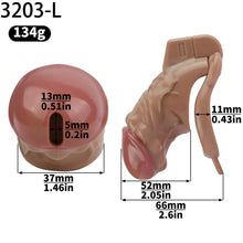 Load image into Gallery viewer, ABS Penis Chastity Lock
