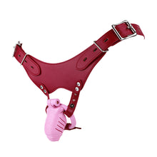 Load image into Gallery viewer, Realistic-Texture Resin Chastity Cage With Pee Hole
