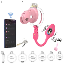 Load image into Gallery viewer, Silicone Chastity Cage with App Remote Control Anal Plug 
