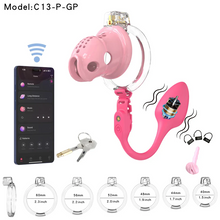 Load image into Gallery viewer, Silicone Chastity Cage with App Remote Control Anal Plug -M
