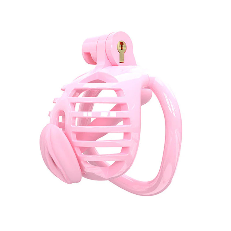 Small Chastity Cage 5 Colors to choose