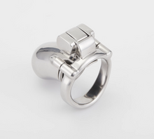 Load image into Gallery viewer, Steel Custom Chastity Device
