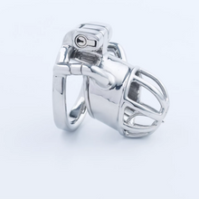 Load image into Gallery viewer, Stainless Steel Custom Chastity Cage With PA T15 - 1
