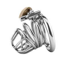Load image into Gallery viewer, PA Open-Frame Stainless Steel Chastity Cage
