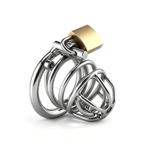 Load image into Gallery viewer, PA Open-Frame Stainless Steel Chastity Cage
