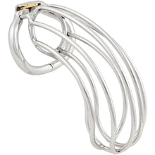 Load image into Gallery viewer, Steel Big Chastity Cage - 3
