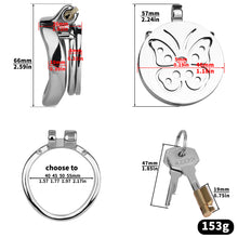 Load image into Gallery viewer, Steel Butterfly Flat Chastity Lock - 12
