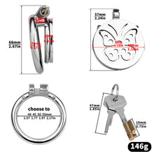 Load image into Gallery viewer, Steel Butterfly Flat Chastity Lock - 13
