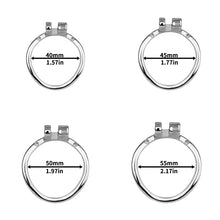 Load image into Gallery viewer, Steel Butterfly Flat Chastity Lock - 24
