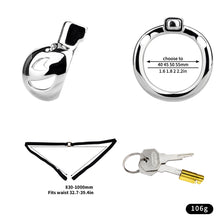 Load image into Gallery viewer, Clown Chastity Lock - 23
