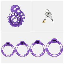 Lade das Bild in den Galerie-Viewer, Purple standard set with four base rings and cylinder lock with two keys
