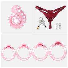 Lade das Bild in den Galerie-Viewer, Pink belt set with four rings, red belt, lock, keys and six fasteners
