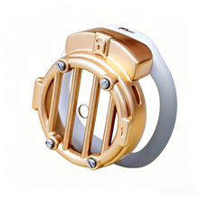 Load image into Gallery viewer, Gate Chastity Cage With Removable Acrylic Cover
