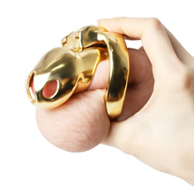 Load image into Gallery viewer, HTV3 Gold Chastity Cage
