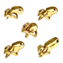 Load image into Gallery viewer, HTV3 Gold Chastity Cage
