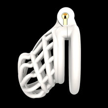 Load image into Gallery viewer, 3D Stegosaurus Spine Bone Chastity Device Kit
