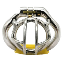 Load image into Gallery viewer, CC24 Male Chastity cage
