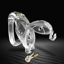 Load image into Gallery viewer, Double Lock Detachable Plastic Chastity Cage
