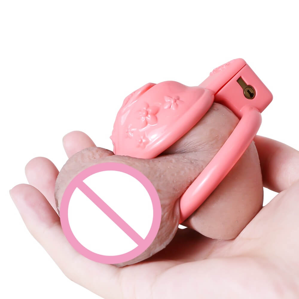 BDSM Sissy 3D Printed Male Chastity Device – CHASTITY CAGE CO