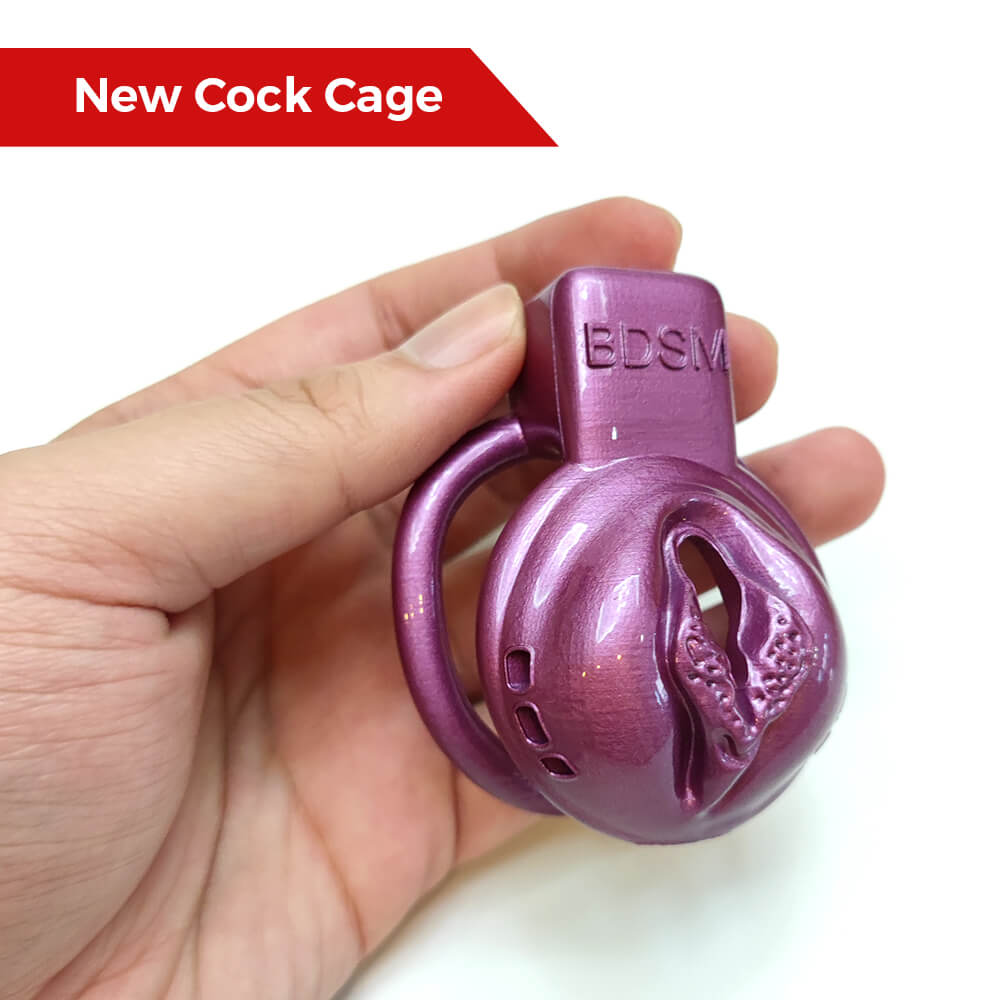 Pussy Chastity Cages – CHASTITY CAGE CO