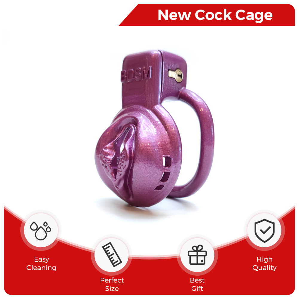 BDSM Vaginal Chastity Devices Cage – CHASTITY CAGE CO