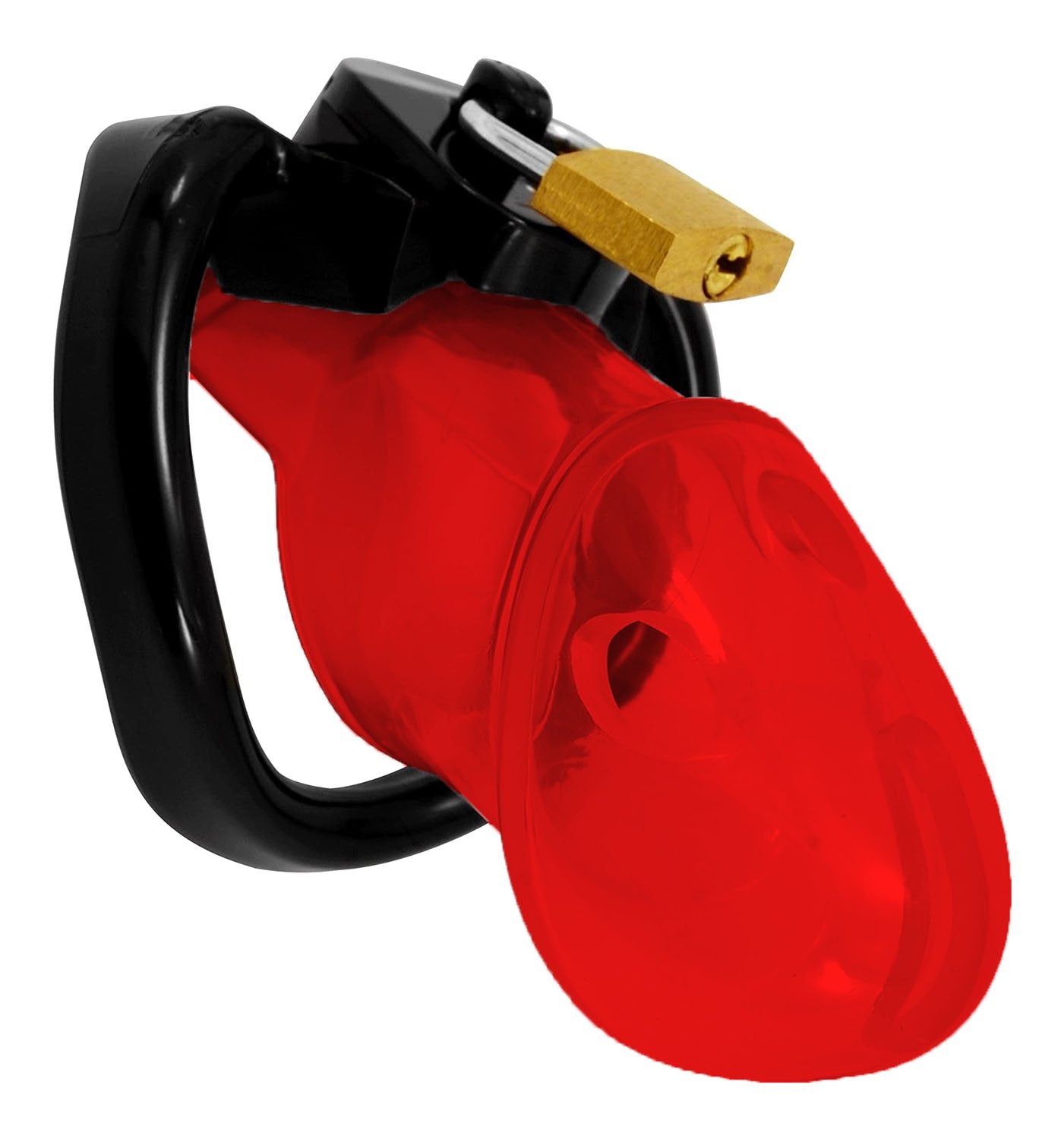 Train Your Man Holy Trainer Chastity Cage – CHASTITY CAGE CO