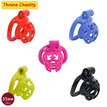 Load image into Gallery viewer, Resin Throne Chastity Cage

